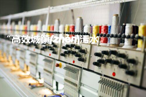 “高效城鎮(zhèn)污水處理流程，守護碧水藍(lán)天新篇章”